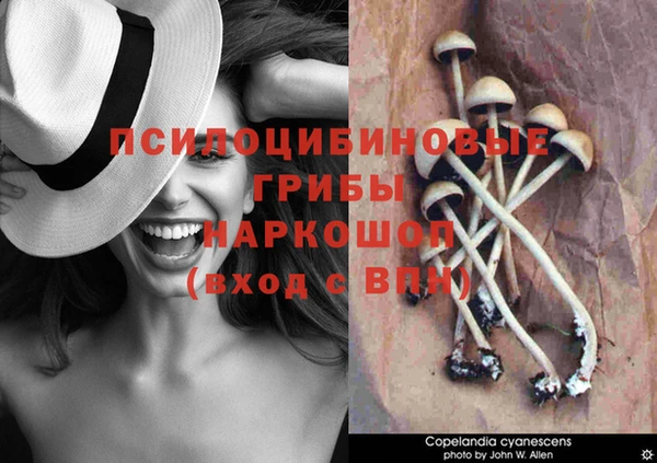 прущая мука Алзамай