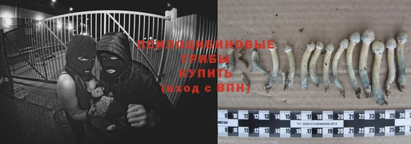 герыч Алексин