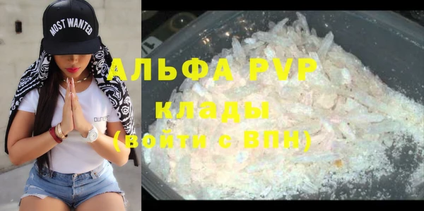 гидра Покачи