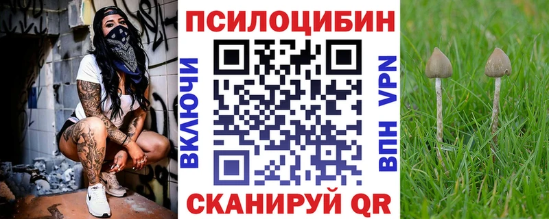 OMG рабочий сайт  Сокол  Псилоцибиновые грибы Psilocybe 