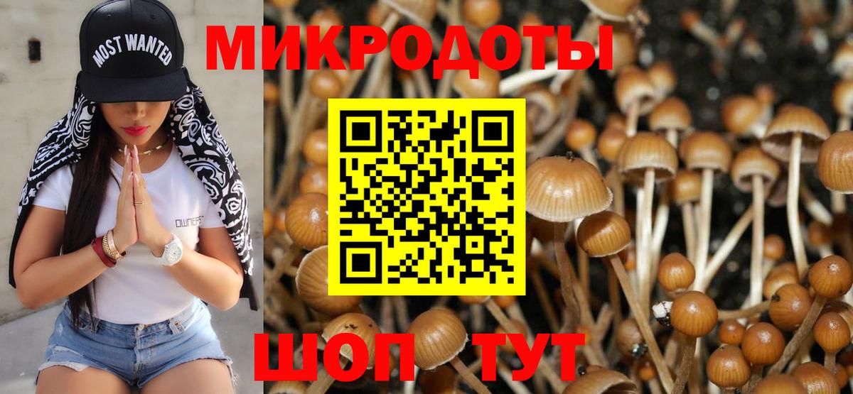 Сокол  Галлюциногенные грибы MAGIC MUSHROOMS  закладка  Вход с VPN  Галлюциногенные грибы GOLDEN TEACHER 