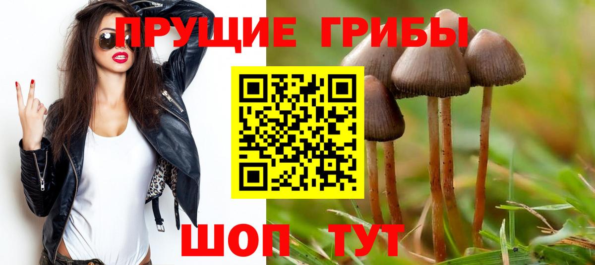Сокол  Галлюциногенные грибы Magic Shrooms  Вход с VPN 