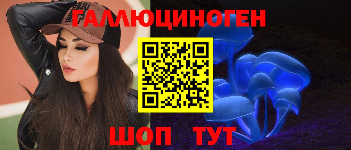 Псилоцибиновые грибы Psilocybe Сокол