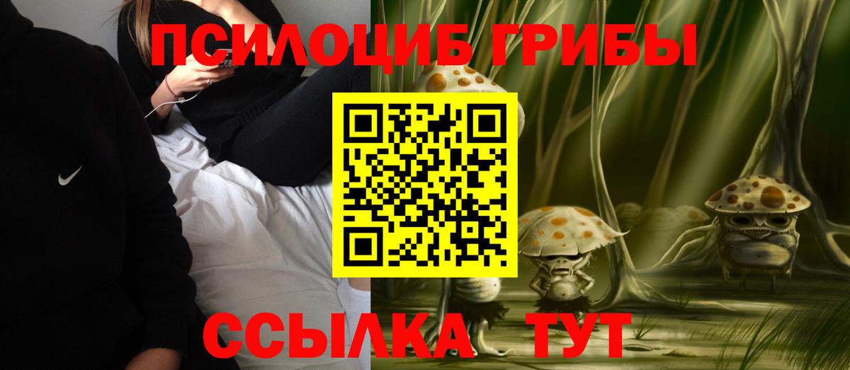 Галлюциногенные грибы мухоморы Сокол
